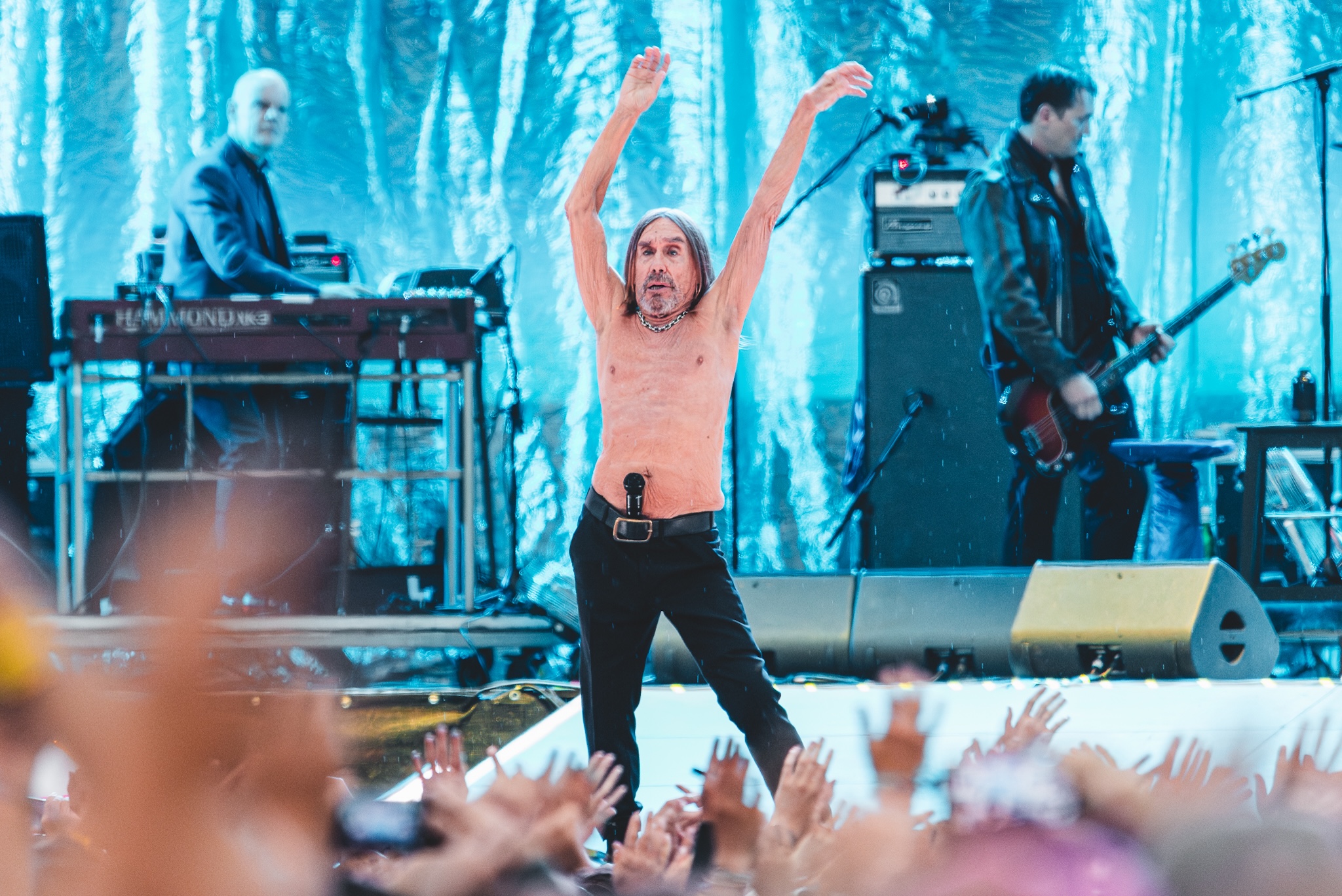 Iggy Pop Iggy Pop